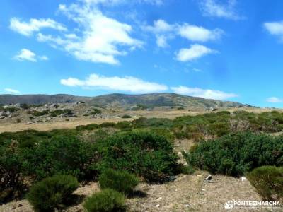 Hayedo Montejo-Cuerda Pinilla; circo gredos mochila de trekking sitios para visitar en la comunidad 